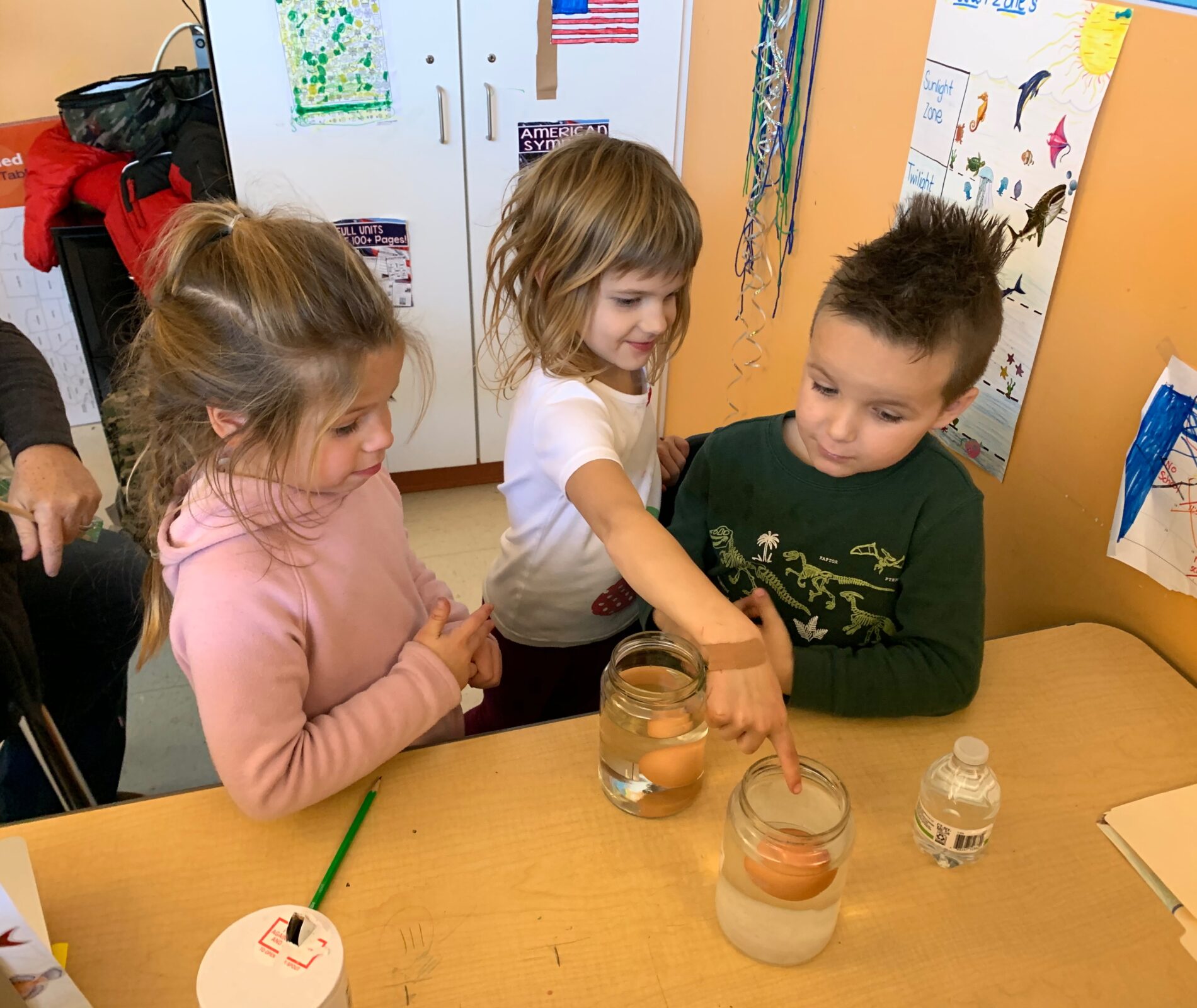 East End Community School - The Maine Educational Center for the Deaf ...